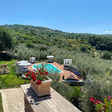 Casale San Pietro Bed & Breakfast Анани Екстериор снимка