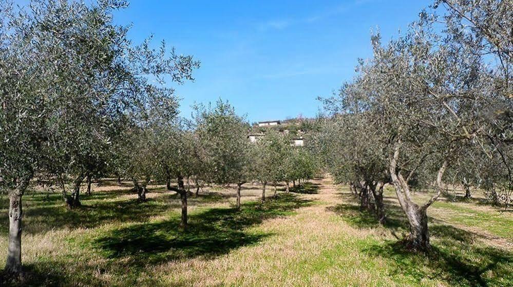 Casale San Pietro Bed & Breakfast Анани Екстериор снимка